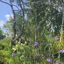 이디야춘천소양강점 이미지