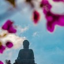 한신회센타 이미지