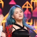 상아케이 뉴스엔