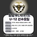 향남유나이티드
