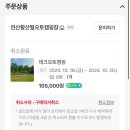 연산황산벌 오토캠핑장 네이버블로그