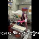 미미떡집