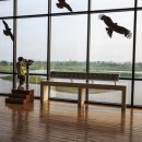 (테마투어)생태투어 이미지