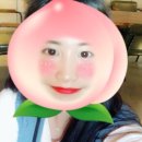 자유셀프세차장 이미지