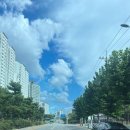 한지제 | 서울에서 대전으로 이사 온 지 한 달 후기