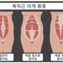 더나은필라테스 - 청주시 흥덕구 오송생명3로 65-15 | 더나은필라테스