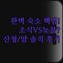 한방모텔 | 조식 유무 체크인 아웃 시간 비교 | 가족 여행 최적화 산청호텔 | 늦잠 만끽 얌모텔 JM모텔 솔직 후기