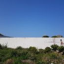 타이완다이닝 이미지