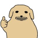 크림약국 이미지