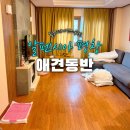 알펜시아관광단지 | [평창] 알펜시아 홀리데이인스위트 콘도 스탠다드(22평) 후기 - 애견동반