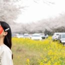 [제주 스냅사진] 장기연애 색다른 데이트 추천, 제주 스냅 “오렌지팝스튜디오” 내돈내산 후기