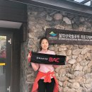 365섬섬클린