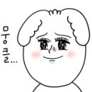 매일36.5의원