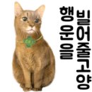 충남로컬푸드사업단 이미지