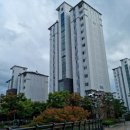 판교이화약국 이미지