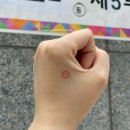 살롱드 데꼬레 | 결혼 준비가 주가 된 6월 일상
