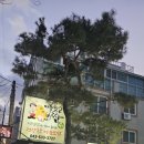 마늘장군보쌈 이미지