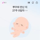 고삐 풀린 임산부의 최후: 임당 재검 후기