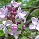 GS25 자이사랑 이미지