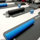 전신순환 필라테스 | 전신순환 필라테스 후기 (feat. 지휘자 부경강사님)