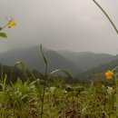 풍촌농장 이미지