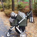 패션디자인(초급) | 서울시 펫패션 디자인수업