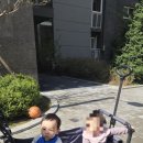 지한약국 이미지