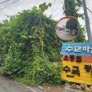 수안주유소 이미지