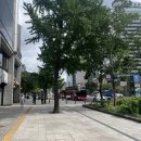 세경할인마트 | 8月6日, 여름의 마지막 날