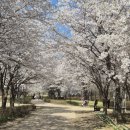 꽃피는설기 | 4月_ 1 봄 제철음식 제철여행 제철피크닉 봄이주는 선물들