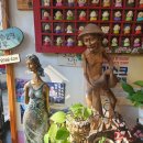 수정이용소 이미지