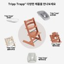 트랩 | 일본 후쿠오카 블라썸39 부가부 드래곤플라이 트리트랩 구매 후기