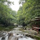 옥녀탕유원지 이미지