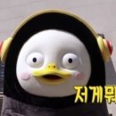 피싱강태공 이미지
