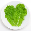 리안성형외과 이미지