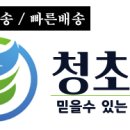 가온몰