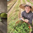 클로버푸드 이미지