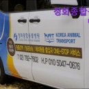 청화종합동물병원 | [이태원 호텔 숙소 추천!] 청화종합동물병원 이태원에서 믿고 찾는 동물병원