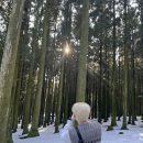 장생목장 이미지