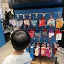 킥보드업 | 내 돈 내산 스쿳앤라이더에서 레벨 업 마이크로 맥시 폴더블 킥보드 블루 구매 후기