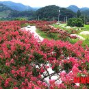 꽃길 - 서귀포시 중앙로72번길 4 | 꽃길