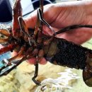 남형농장 이미지