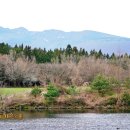 제주 터닝포인트 | 제주 골프 조인 예약 1인 조인 가능한 제주 한라산cc 부킹 후기