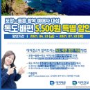 울릉도 여행) 독도 입도 성공!!!(남편만 ㅠㅠ)