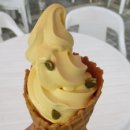 씨앗소프트