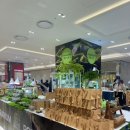 펫 뮤지엄 이미지