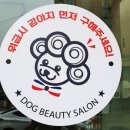 싹독싹독 이미지