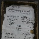 개울가에핀야생화 - 용인시 수지구 이종무로 112 | 고기리 카페, 분위기 좋은 카페 "개울가에 핀 야생화"후기