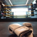 제이비복싱 이미지