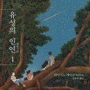 [도서리뷰]*중요스포없음* '유성의 인연' (히가시노 게이고) 이미지